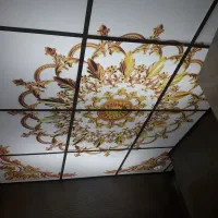 طلق پلگسی چاپی سقف کاذب