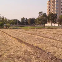 فروش زمین مناسب انبوه سازی|فروش زمین و ملک کلنگی|اصفهان, لیمجیر|دیوار