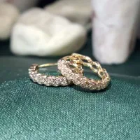 بدلیجات گوشواره