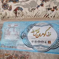 فرش ۹ متری ۷۰۰ شانه|فرش|ایلام, |دیوار