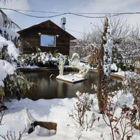 باغ ویلا شهرزاد|اجارهٔ کوتاه‌مدت ویلا و باغ|بیستون, |دیوار