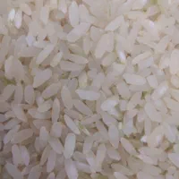 برنج کامفیروزی