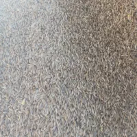 فروش یک تن جوروسی