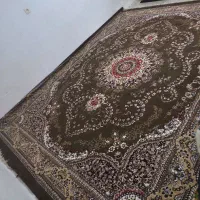 فرش کاملا سالم|فرش|ایلام, |دیوار