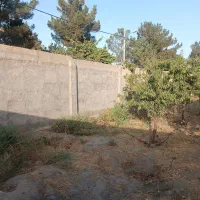 فروش زمین|فروش زمین و ملک کلنگی|مشهد, کلاته برفی|دیوار