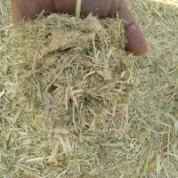 کاه (برمه)