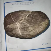 فروش شهاب سنگ