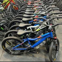 نمایندگی دوچرخه۲۰.۲۴.۲۶ویوا المپیا جردن بلست