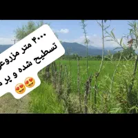 4000-متر-زمین-کشاورزی-پرمحصول-با-آب-فراوان
