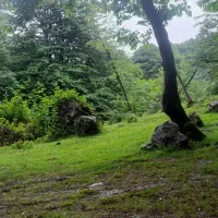 ماشین در احتیار