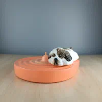 جاعودی فانتـزی طرح سگ شیتزو|صنایع دستی و سایر لوازم تزئینی|قزوین, |دیوار