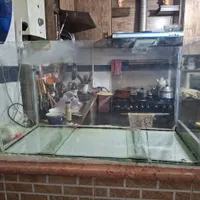 شیشه آکواریوم
