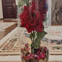 دکور خانه سالم توضیحات رو ببینید|صنایع دستی و سایر لوازم تزئینی|رشت, معلم|دیوار