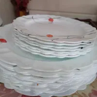 ظروف غذاخوری