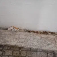 اجاق گازوسنگ مرمر