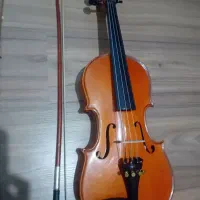 ویلن