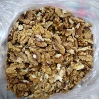 گردوی پرچرب شمال