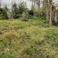 ویلا|فروش خانه و ویلا|رودبنه, |دیوار