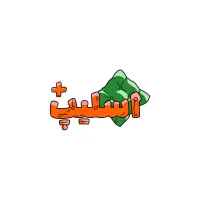 وسط کار منظم و پرانرژی