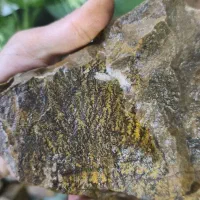 سنگ شجرکلکسیونی|کلکسیون اشیاء عتیقه|مشهد, هفده شهریور|دیوار