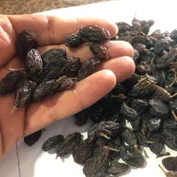 کشمش|خوردنی و آشامیدنی|زنجان, |دیوار