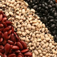 خرید و فروش مواد غذایی