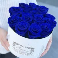 گل های رنگارنگ