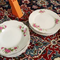 ظروف چینی|ظروف سرو و پذیرایی|کرج, باغستان|دیوار