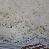 برنج دونوج (کشت دوم ارگانیک)