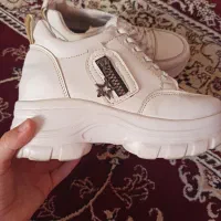 دو جفت کفش اسپرت و مجلسی زیبا