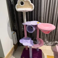 اسکرچر برند جیجو پت