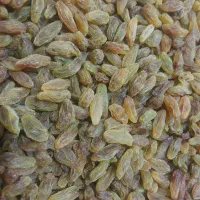 کشمش آفتابی  خراسان|خوردنی و آشامیدنی|کرمان, |دیوار