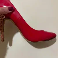 کفش مجلسی
