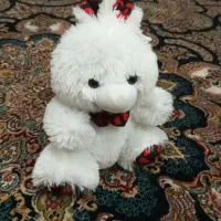 عروسک|اسباب‌بازی بچه|شیراز, فرگاز|دیوار