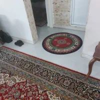 فرش دوازده و نه متری همراه کناره|فرش|چمستان, |دیوار