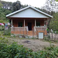 سوییت روزانه جنگلی تمیز شیک