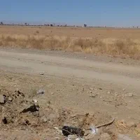 زمین کشاورزی