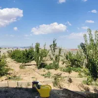 باغ ویلایی در  نظرلو