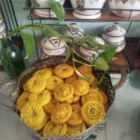 کلمپه مقوی کرمانی