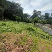 علفتراشی هرس سمپاشی علف زنی علف تراش