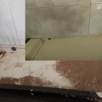 شرکت خدماتی نظافتی تمیزکاری راه پله ساختمان منزل|خدمات نظافت|اصفهان, احمدآباد|دیوار