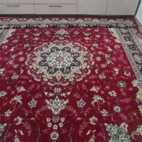 فرش نو|فرش|دهگلان, |دیوار