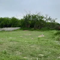 فروش-زمین