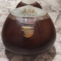 تار فرامرز شکرخواه|سازهای سنتی|تهران, سازمان آب|دیوار