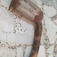 کاتالیزور|قطعات یدکی و لوازم جانبی|رشت, گلسار|دیوار