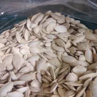 تخمه کدو|خوردنی و آشامیدنی|اصفهان, دهنو|دیوار