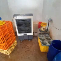 وسایل مرغی ب فروش میرسد همه با هم