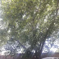 90مترتجاری-شهرک-مکانیکی