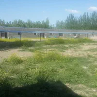 فروش فوری دامداری ۵۰۰ راسی|فروش دفتر صنعتی، کشاورزی، تجاری|خوی, |دیوار