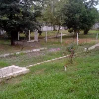 ویلا باغ با سند تک برگ